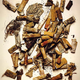 Image for article titled Five Reasons To Mourn And Celebrate Irving Penn